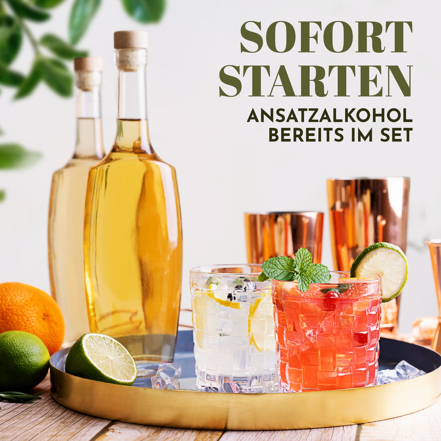 Gin Baukasten