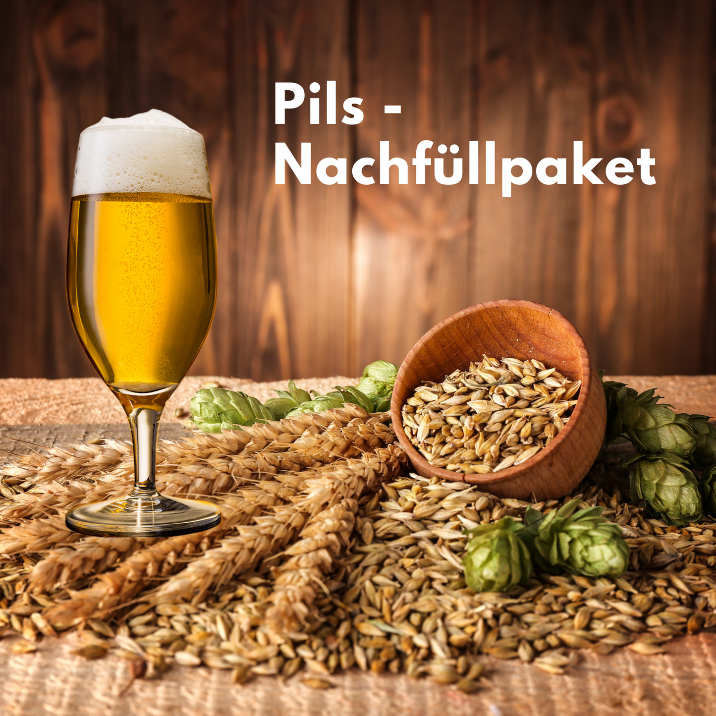 Pils Bier Malzpaket für 5L